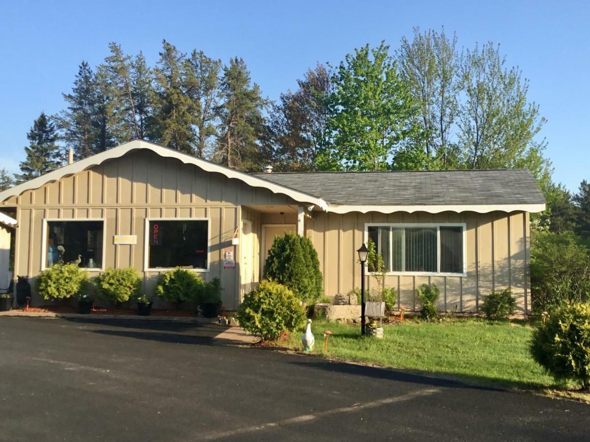 Edelweiss Motel Hayward Zewnętrze zdjęcie